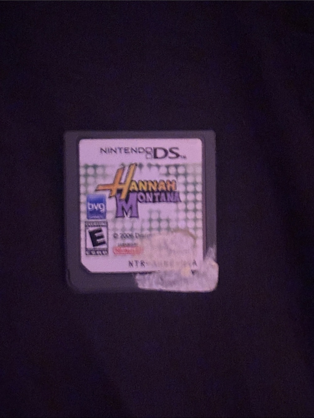 Nintendo DS games